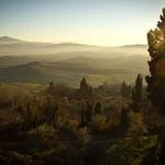 Gavin Gusikowski Profile Picture