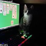 Orin Hand Profile Picture