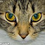 Troy Marquardt Profile Picture