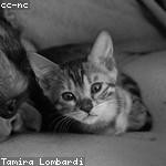 Carley Dibbert Profile Picture