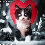 Creola Romaguera Profile Picture